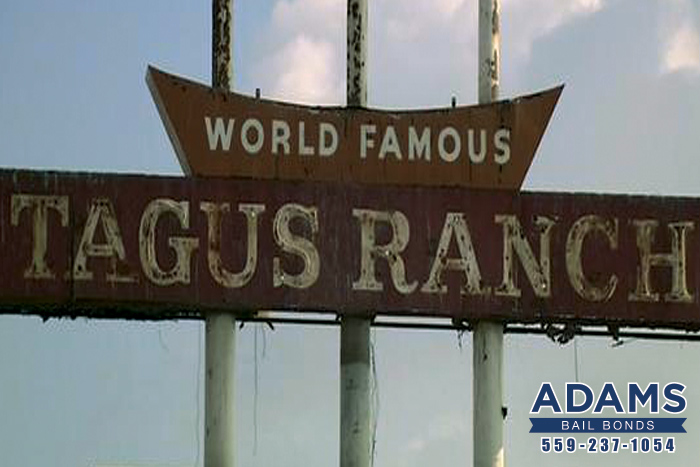 Tagus Bail Bonds