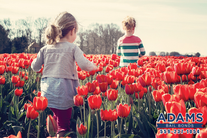 The Spring Flowers Have Arrived In California!