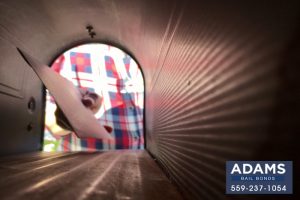 the-reality-of-unemployment-fraud