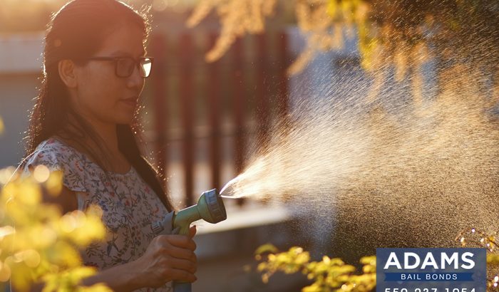 watering-your-california-lawn